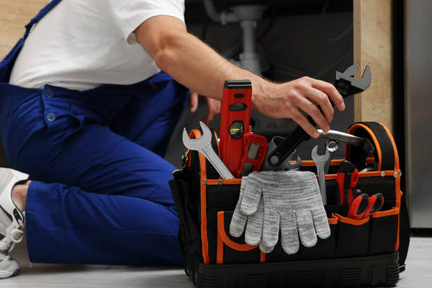 Best Toilet Repair Services  in Hale Center, TX