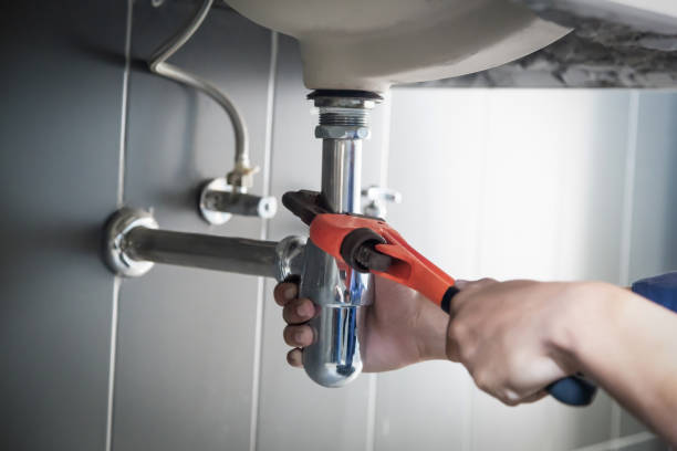 Best Plumbing Inspection Services  in Hale Center, TX